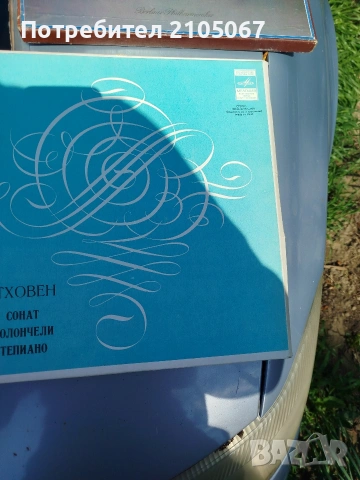 Грамофонни плочи, снимка 8 - Грамофонни плочи - 54255804