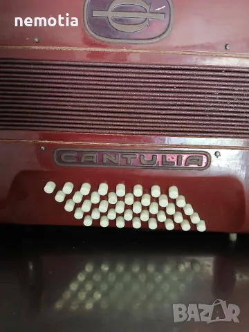 Акордеон Hohner cantulia 40  баса, снимка 2 - Акордеони - 55523271