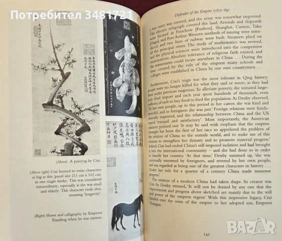 Empress Dowager Cixi. The Concubine Who Launched Modern China, снимка 11 - Биографии, мемоари и спомени - 55065653