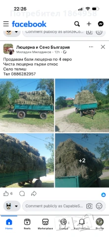 СУПЕР МИНИ ЙОРКИ Доставка, снимка 9 - Йоркширски териер - 54749577