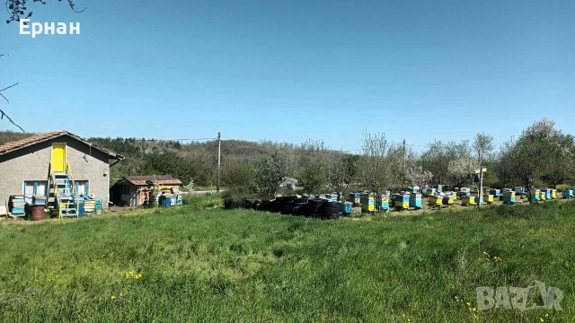 Къща в село Стойново,Община Антоново, снимка 2 - Къщи - 54509480