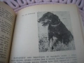 За младия ловец и риболовец, снимка 5