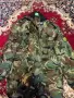Продавам чисто нови военни дрехи , снимка 3