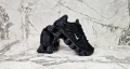 Nike Мъжки Маратонки👟Мъжки Спортни Обувки Найк - Различни Цветове Код P2447, снимка 4