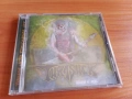NEW! Thrasher – Thrash N' Roll Old School Thrash from Mexico, снимка 1
