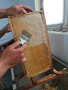 Пчелен мед и пчелни продукти 2026г, снимка 4