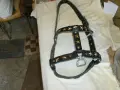 продавам юлар от телешка кожа за кон, снимка 1