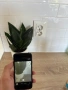 iPhone SE 2020 256GB, снимка 5