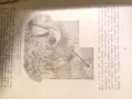 Книги от 1908 г. и 1945 г., снимка 16