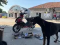 Aprilia sr50 2012 6500км , снимка 10