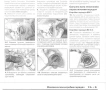 Citroen C3.Две ръководства за ремонт и техн.обслужване /на CD или флашка /, снимка 8