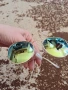 Дамски Rayban уникални, снимка 1