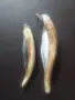 Габровски сойки..., снимка 1