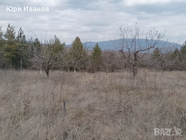 Овощна градина в с.Соволяно , снимка 5 - Земеделска земя - 53395499