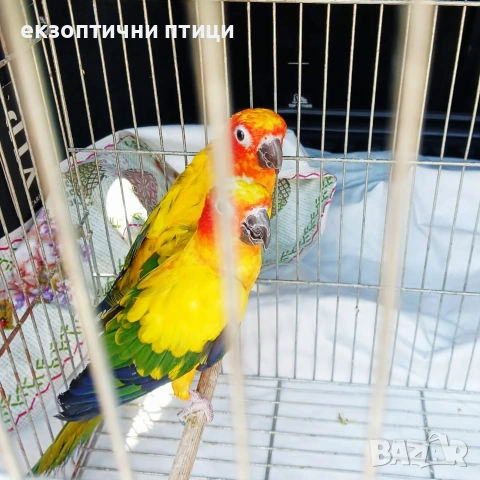 Продавам или Бартер 