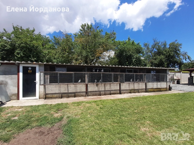 Продава къща, с.Каменар, община гр.Варна, снимка 18 - Къщи - 55250903