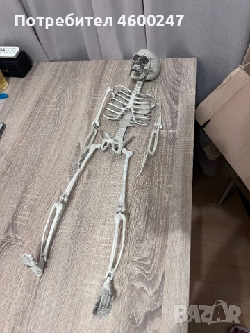 Различни Хелоуин декорации, снимка 2 - Други - 54230374