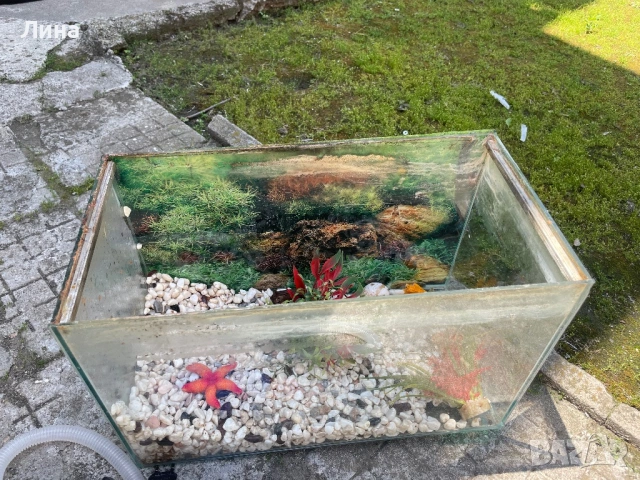 Аквариум Нано
