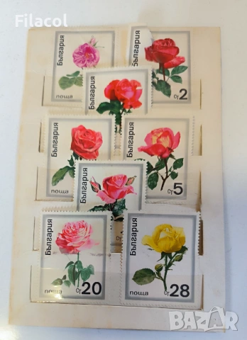 България 1970 - Рози