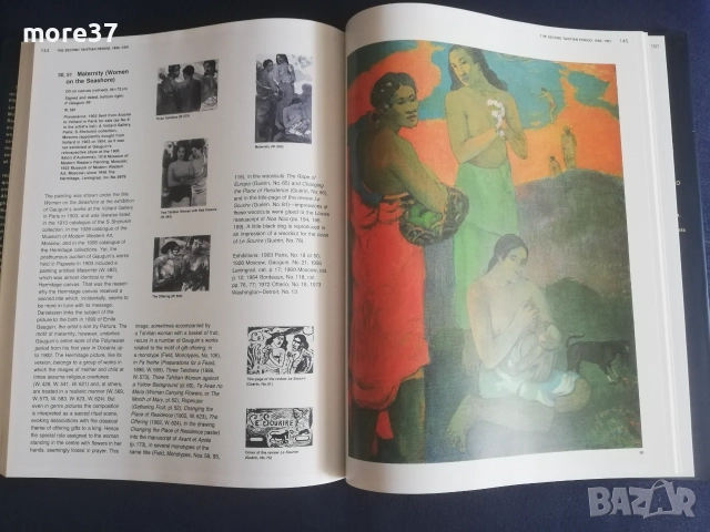 Пол Гоген-рядка книга, снимка 9 - Изкуство, музика, кино и фотография - 55314834