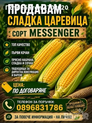 Продавам Сладка Царевица