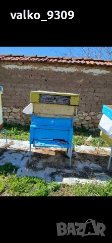 Пчелни семейства 12р, снимка 3 - Други животни - 54324427