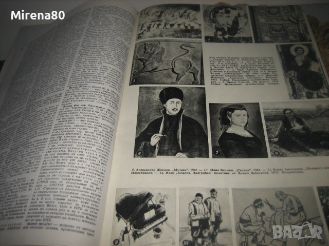 Енциклопедия БАН - 1974 г., снимка 7 - Енциклопедии, справочници - 54715982