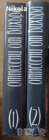 Отнесени от вихъра, снимка 2 - Художествена литература - 54429525