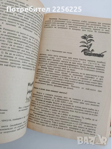 Книга за всеки ден и всеки дом, снимка 3 - Специализирана литература - 54791527