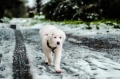 Nikon AF-S 50mm f/1.4G обектив Никон, снимка 10