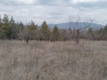 Овощна градина в с.Соволяно , снимка 5