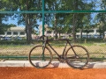 Шосеен Trek full carbon full  Campagnolo , снимка 10