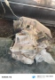 скоростна кутия за Land Rover freelender 2.0 td4 112k.c., снимка 4