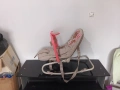 бебешки шезлонг , снимка 3