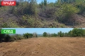 ПОЧИСТВАНЕ НА ПАСИЩА И ТЕРЕНИ, снимка 2
