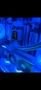 ТОП ГЕЙМИНГ SETUP – ВСИЧКО ВКЛЮЧЕНО | 7800X3D + RTX 5080 | 57” G9 , снимка 2
