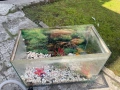 Аквариум Нано, снимка 1