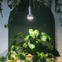 LED лампа за отглеждане на растения – 18W E27, снимка 1