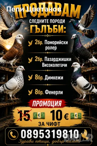 Гълъби         Гълъб