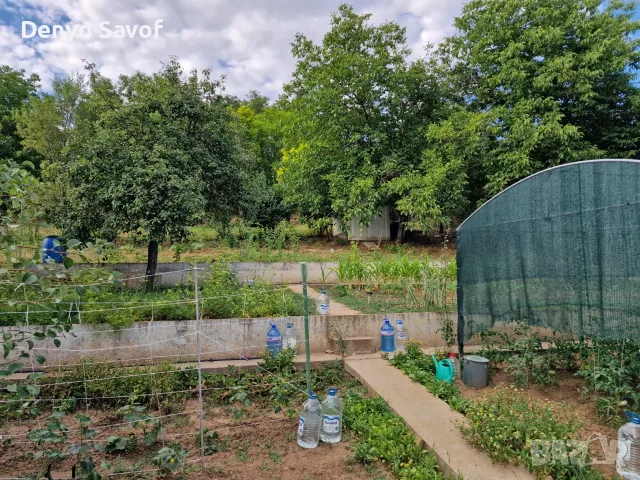 Къща в с. Калипетрово, снимка 16 - Къщи - 55300550