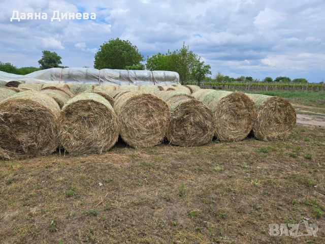 Продавам ролонни бали влажна люцерна, снимка 9 - За селскостопански - 54483625