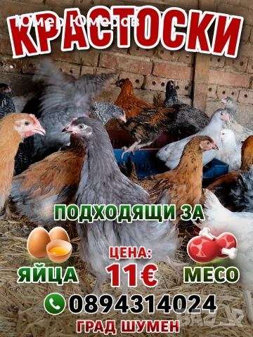 Продавам Млади Ярки 