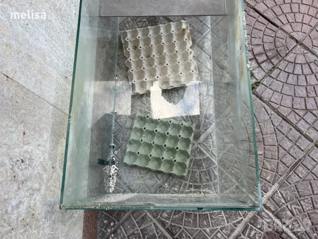 Аквариум 80/40/40, снимка 2 - Аквариуми - 55674059
