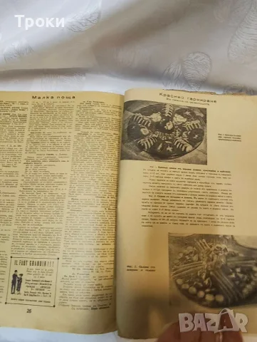 Сборник списания „Икономия и домакинство“ (1936–1937 г.) Съдържание: Общо 7 броя. , снимка 14 - Антикварни и старинни предмети - 55571177