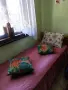 Мебели от масивно дърво, снимка 4