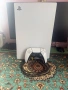 PlayStation 5, снимка 1