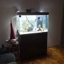 Аквариум CIANO 80pro +шкаф, снимка 3
