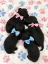 Poodle toy/Пудел Той, снимка 3