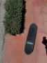 Скейтборд Birdhouse Tony Hawk stage 3, снимка 2