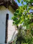 Продава къща село Бошуля, снимка 3